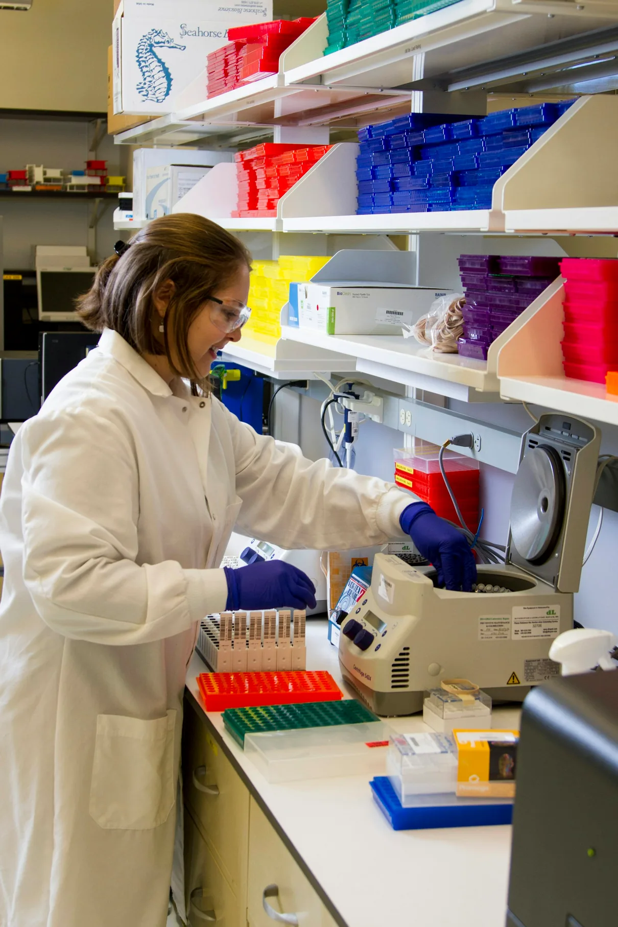 A laboratory technician preparing samples for DNA genotyping and sequencing